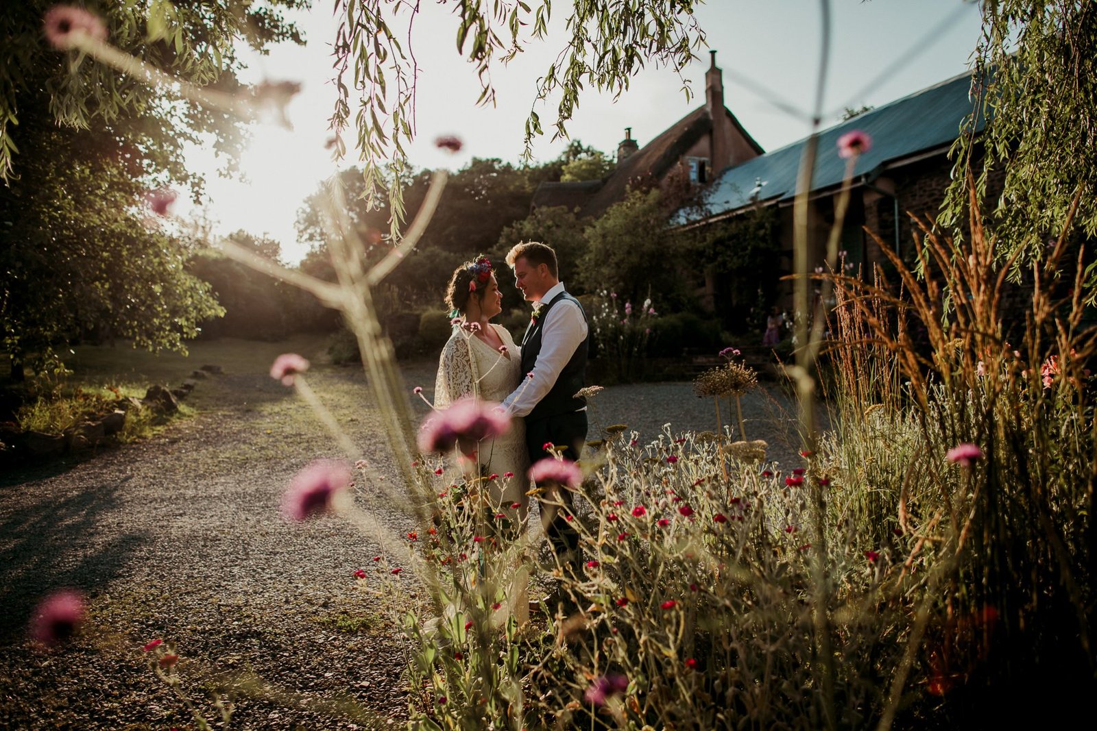 sunlit flowers at Hayne