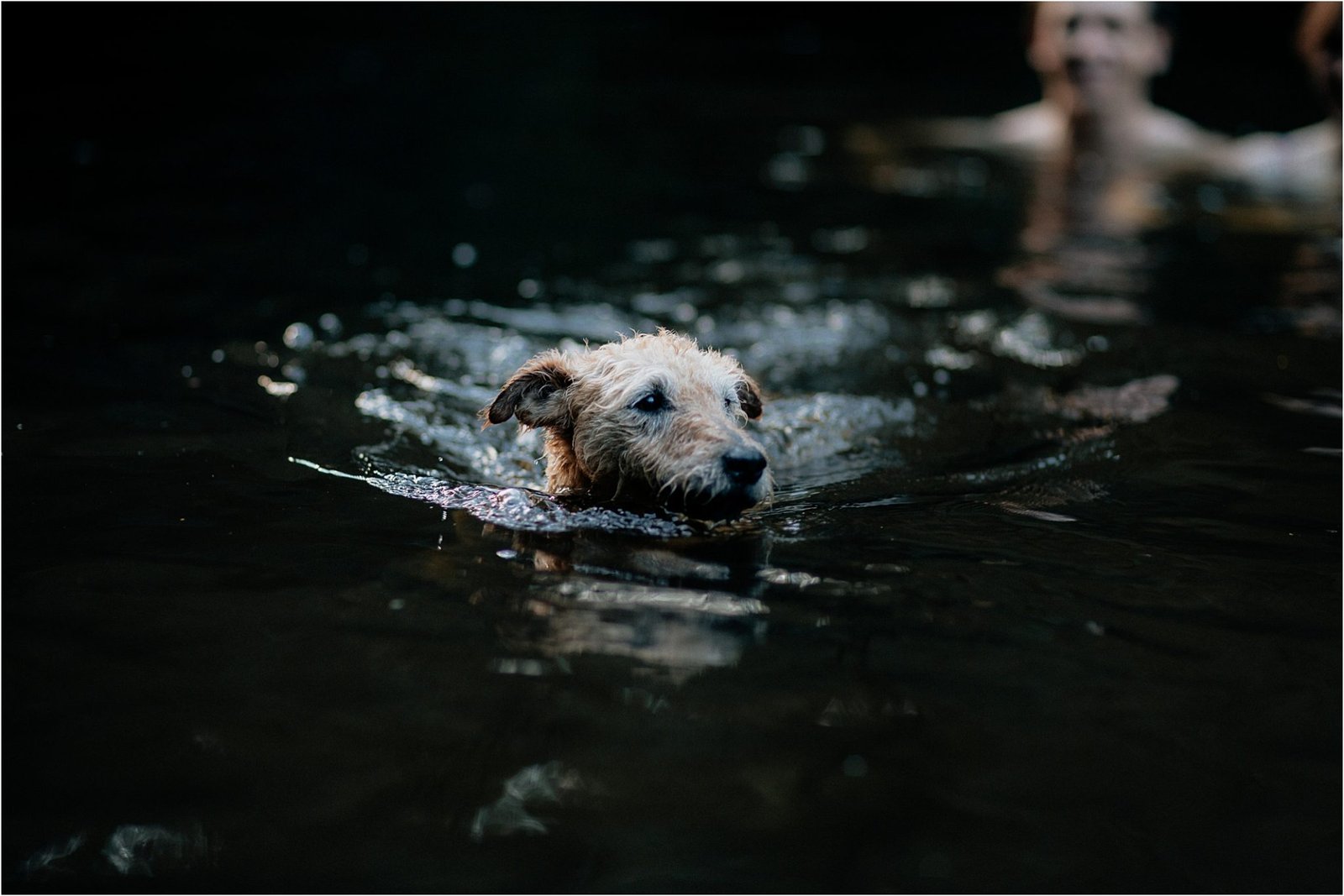 Wild swims,devon engagement shoot,engagement photos,engagement shoot,river swims,river teign,rockrose photography,woodland,