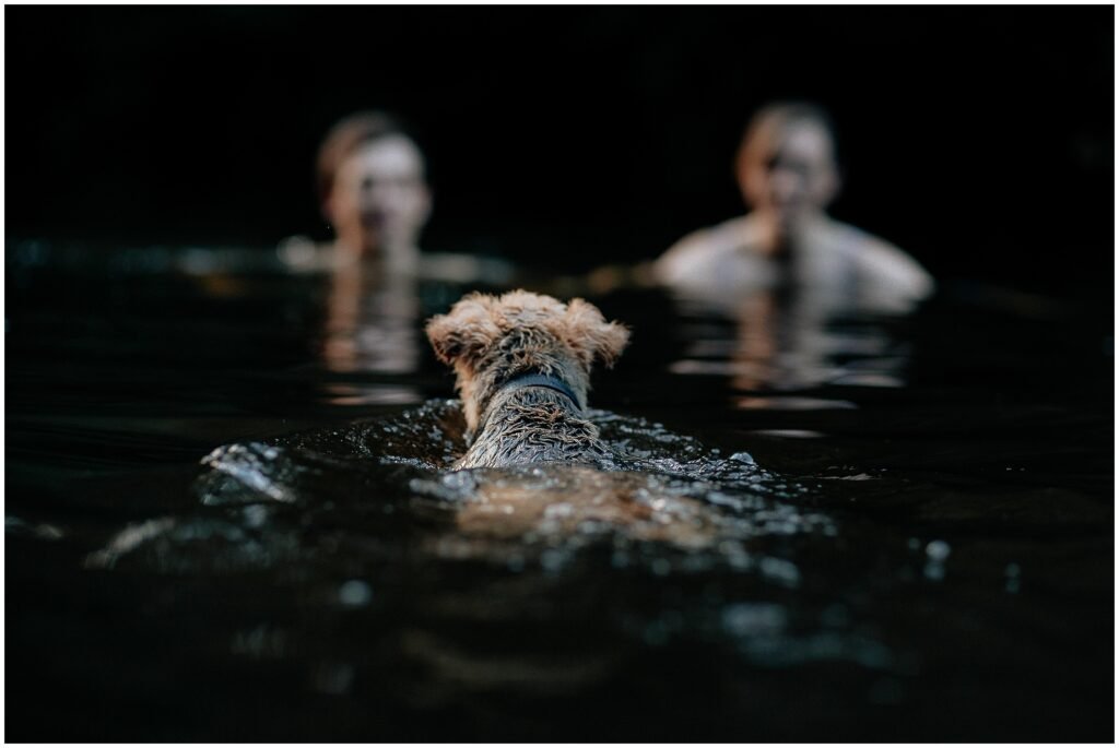 couple swimming with their dog