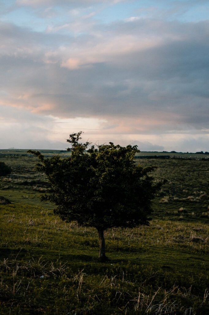 Dartmoor photography