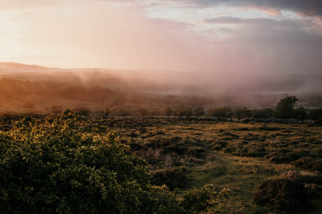 mist on dartmoor national park