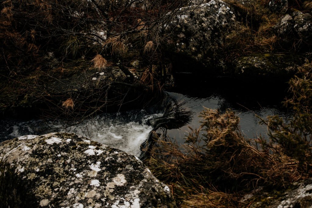 river running through dartmoor