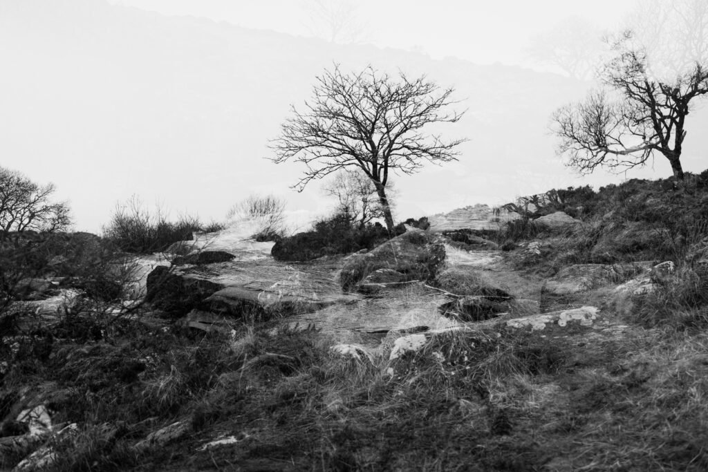 Photography walks