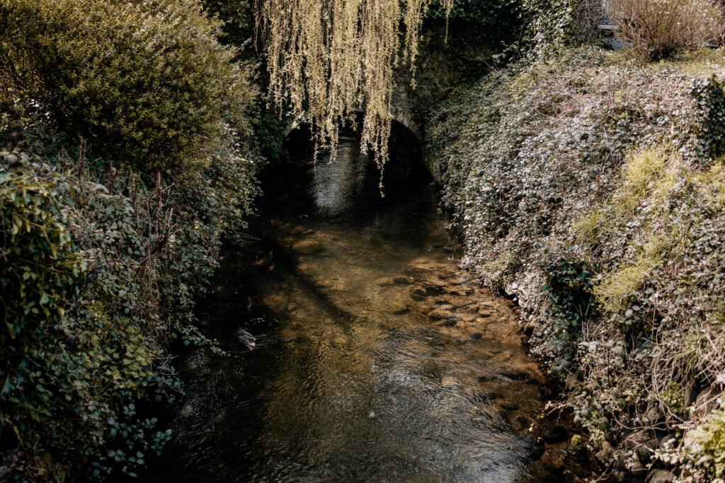 wedding Dartmoor