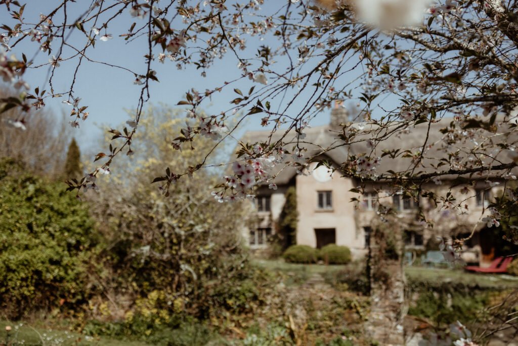 Devon wedding photographer