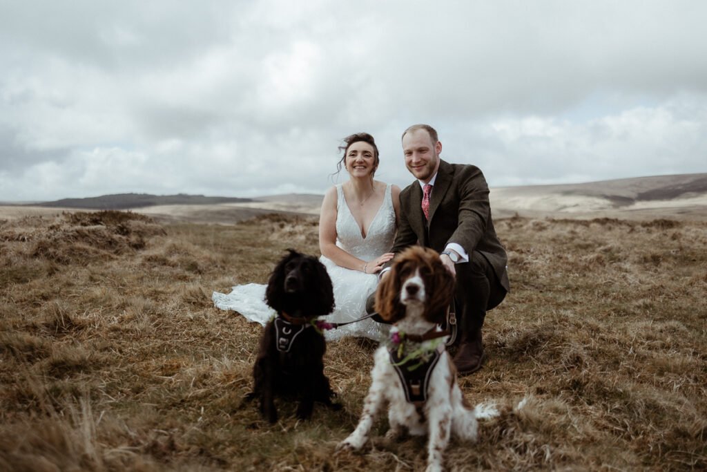 wedding, dogs and dartmoor