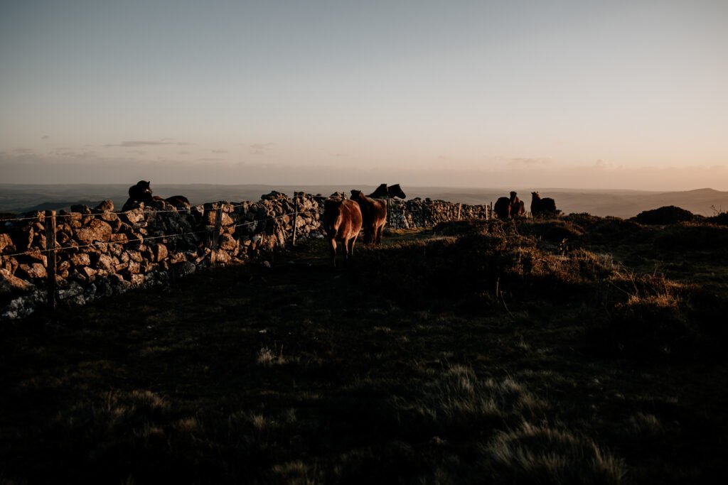 Dartmoor photography