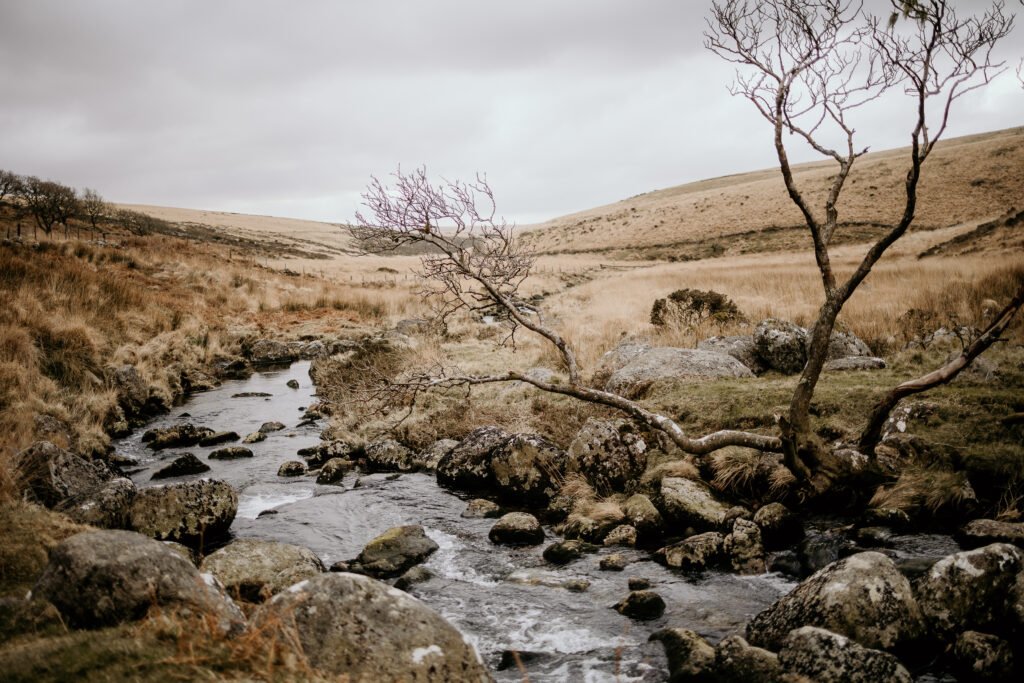 Dartmoor photography