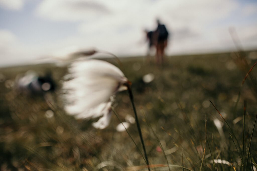 Dartmoor photography
