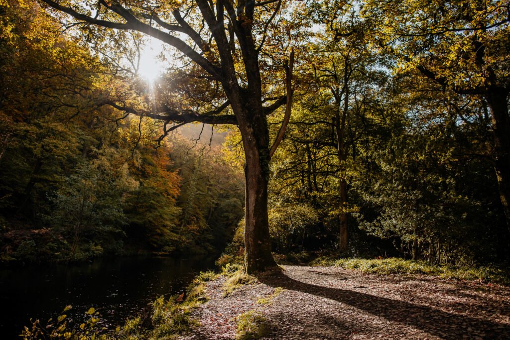 Dartmoor photography
