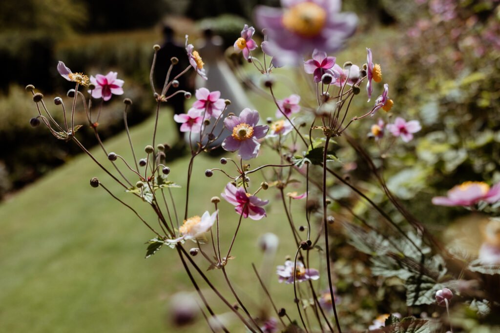 Bovey Castle wedding
