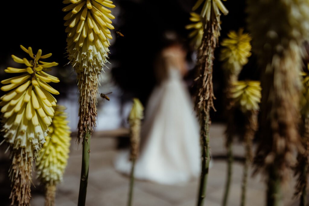 Bovey Castle wedding