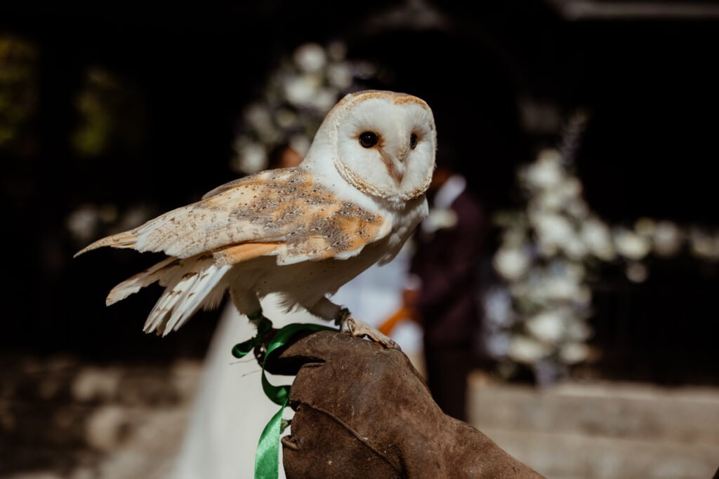 Bovey Castle wedding