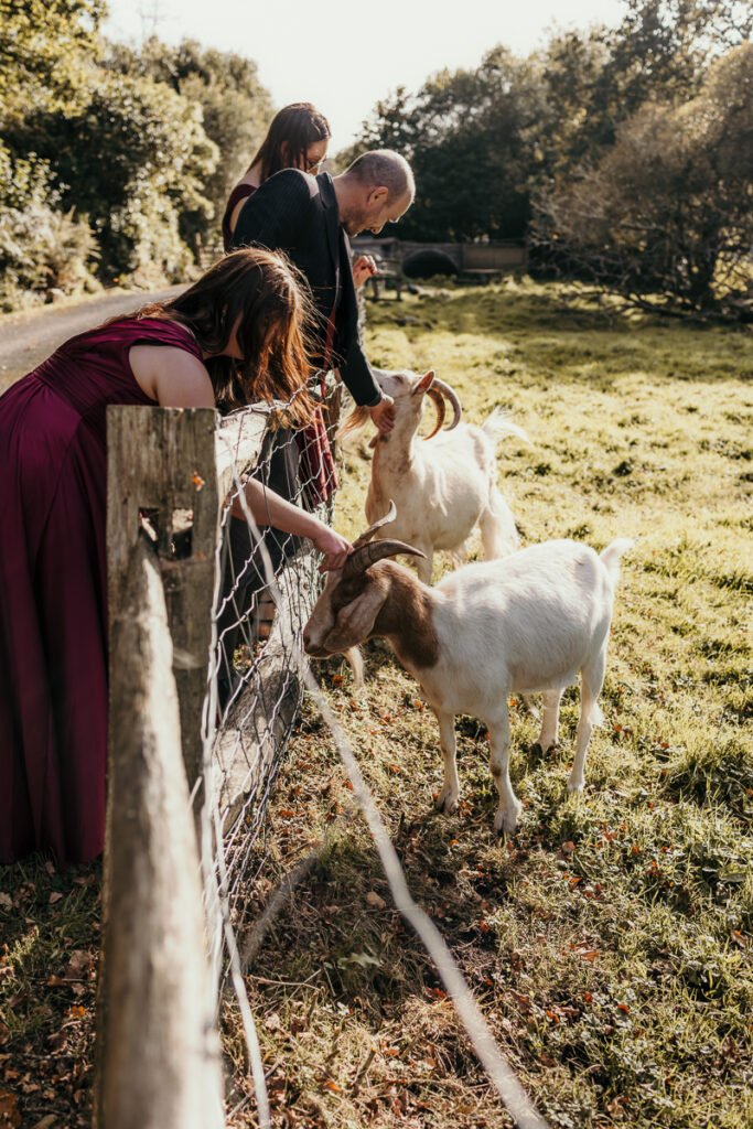 gothic Dartmoor wedding