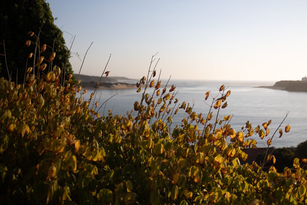 Rota Vincentina Fishermans trail
