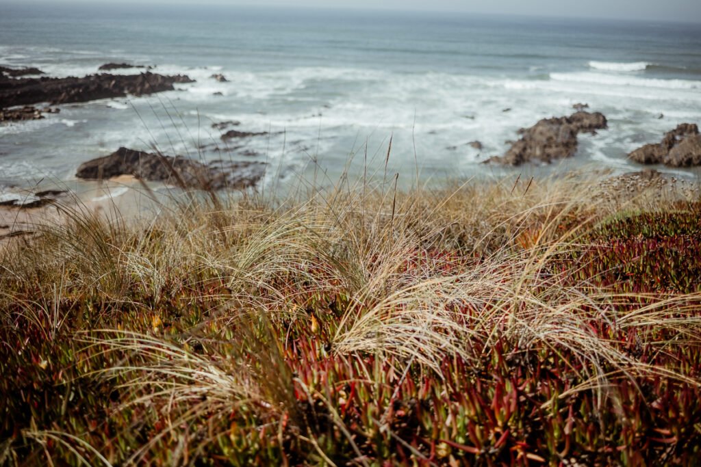 Rota Vincentina Fishermans trail