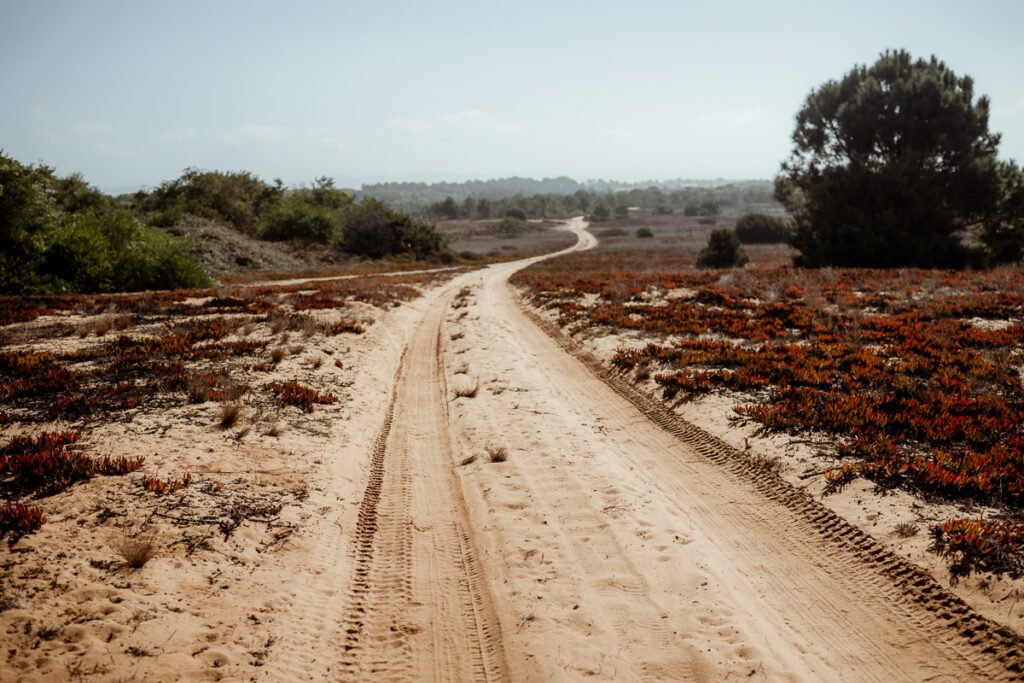 Rota Vincentina Fishermans trail