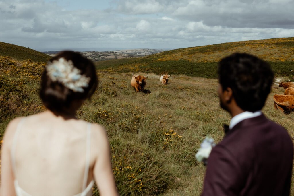 dartmoor wedding