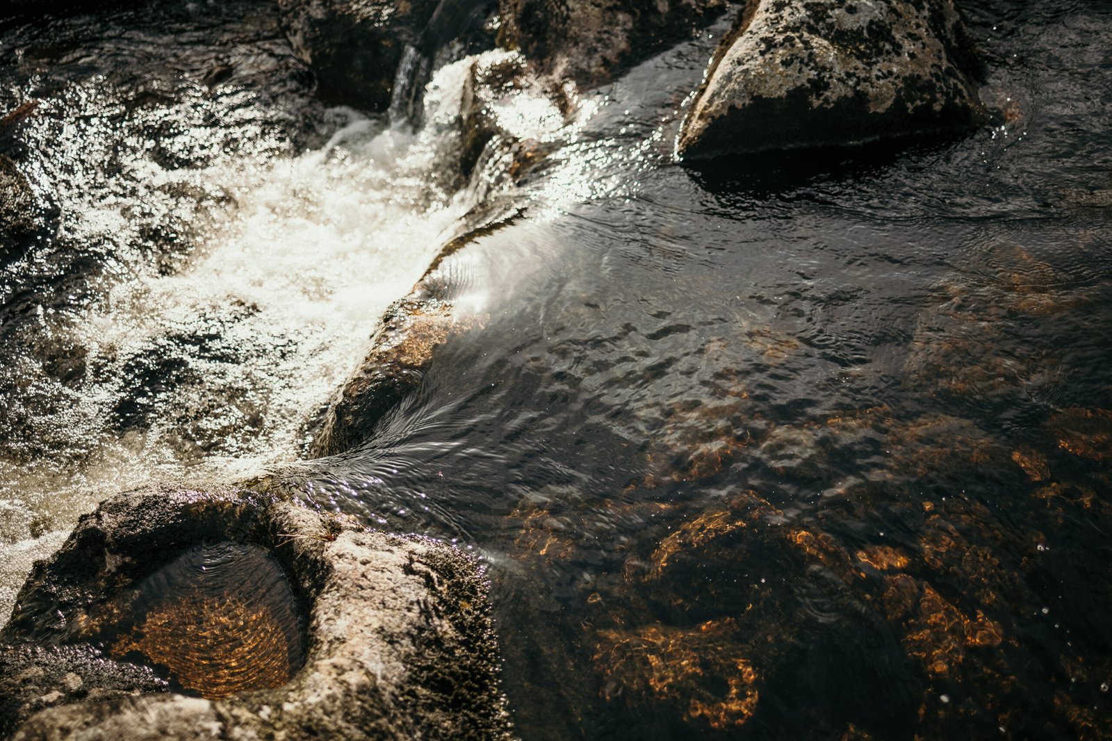 Musician Portraits Devon