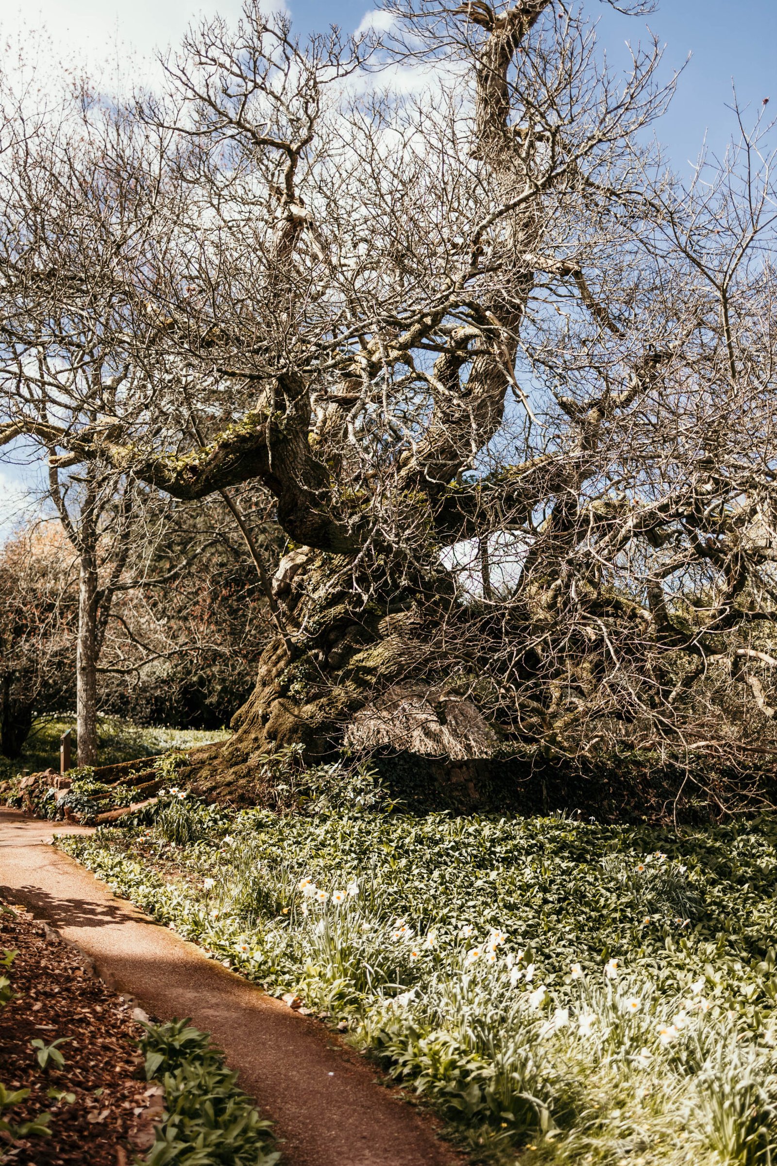 Kingston estate wedding