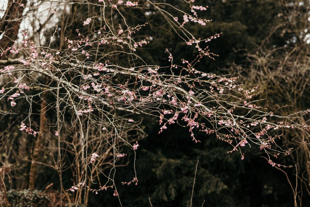 Huntsham church wedding