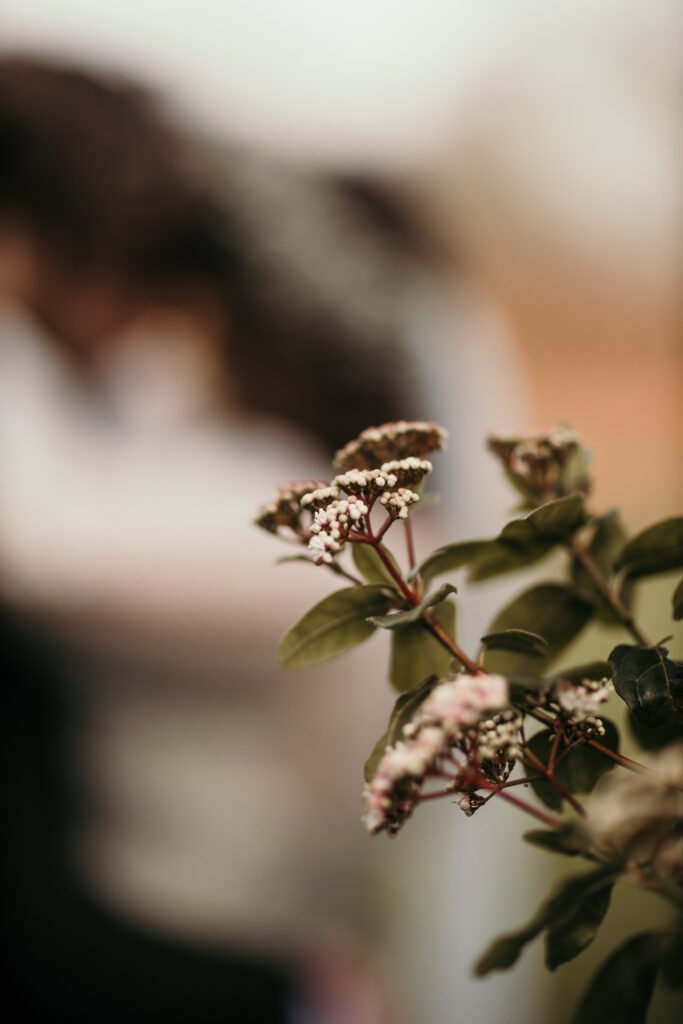 Huntsham church wedding